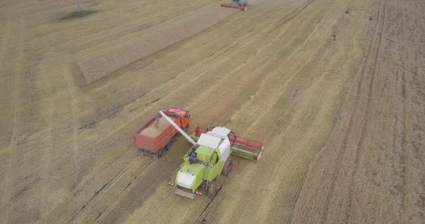 Mähdrescher schüttet Getreide in LKW-Karosserie — Stockvideo