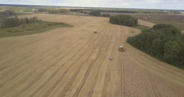 Vue aérienne paysage rural avec batteuses dans le champ de blé — Video