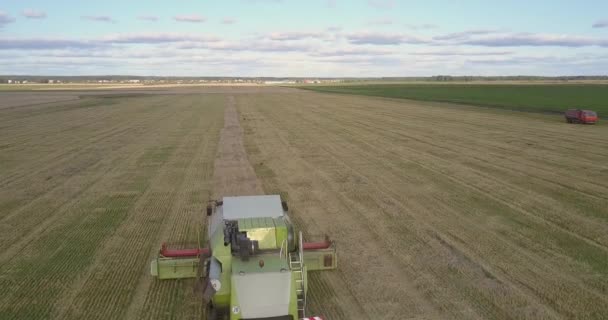 Камера движется и следует за сбором молотилки пшеницы в поле — стоковое видео