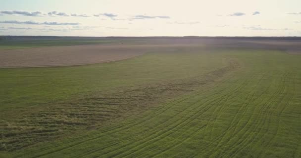 Havadan panorama yeşil çayırlar ve sarı buğday tarlaları — Stok video