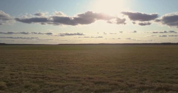 Vista superior prados verdes y amarillos contra el cielo atardecer — Vídeos de Stock