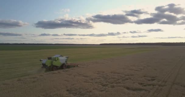 Lucht panorama landelijk land met machine bij het oogsten — Stockvideo