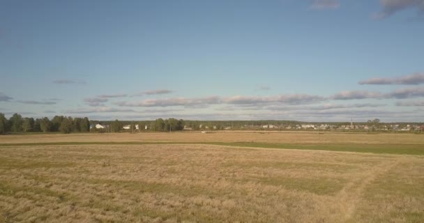 Mavi gökyüzüne karşı çiftlik için olgun buğday tarlası üzerinde hava hareketi — Stok video