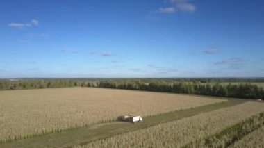 hasat kozalarının ayrıştırma ını gerçekleştiren teknik cihaz