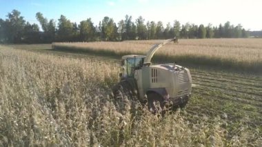ekin kulakları temizlemek için özel tasarıma sahip hasat makinesi