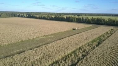geniş mahsul tarım arazisi ve kendinden tahrikli yem hasat makinesi