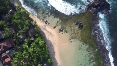 okyanus ve yol arasındaki palmiye gölgeler bina çatıları