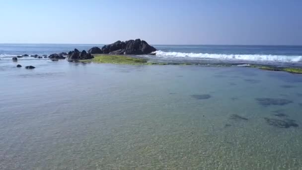 Vagues océaniques moussantes blanches roulent sur le littoral au-dessus des algues — Video