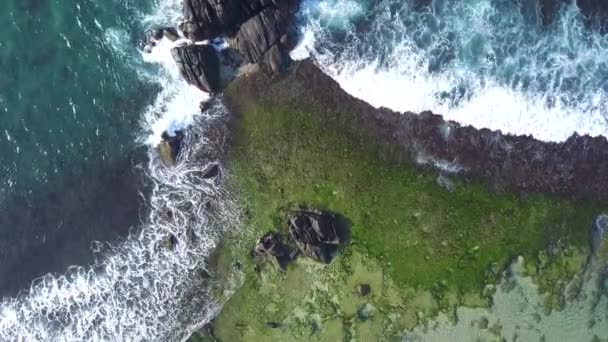 Meereswellen wälzen sich auf grüne und braune Felsküste — Stockvideo