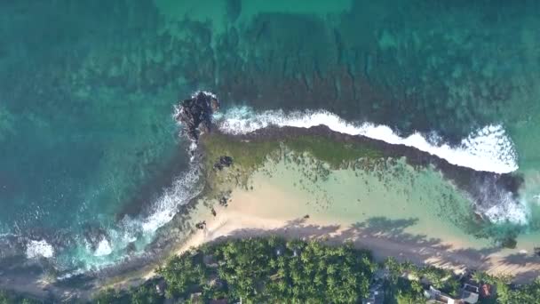 Olas de espuma del océano rodar en la costa arenosa con hierba verde — Vídeo de stock