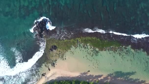 Golven omringen grijze rots en roll on kustlijn met gras — Stockvideo