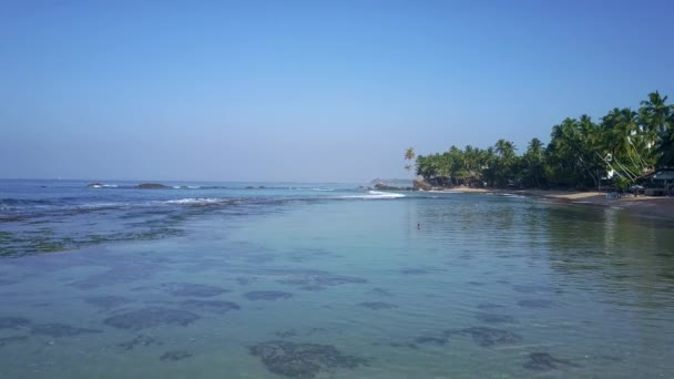 Azul océano sin fin en la playa de arena con altas palmeras verdes — Vídeo de stock