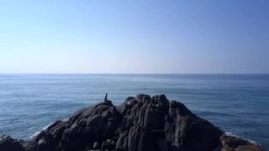yoga sportif bayan siluet gri kayalık kayalık üzerinde poz