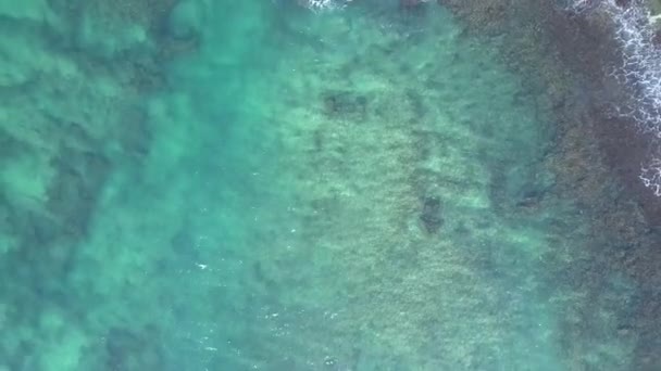Transparente Meereswellen über sandigen Grund mit Algen — Stockvideo