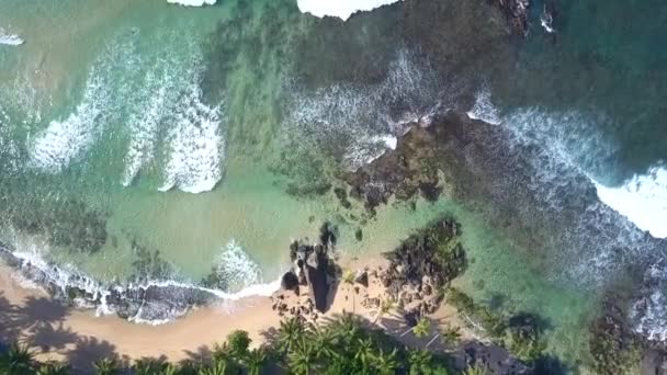 Oceaan golven rollen op zandkust met groene palmbomen — Stockvideo