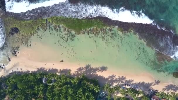 Malownicze piaszczyste wybrzeże, zielone palmy i szare skały — Wideo stockowe