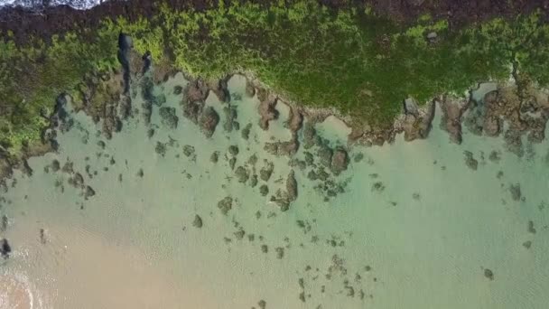 Malownicze piaszczyste wybrzeże, zielone palmy i szare skały — Wideo stockowe