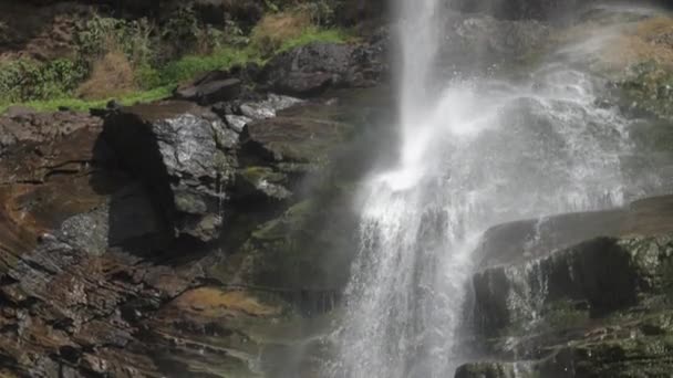 Schuimende water valt van bruine rotsachtige klif op groene boom — Stockvideo