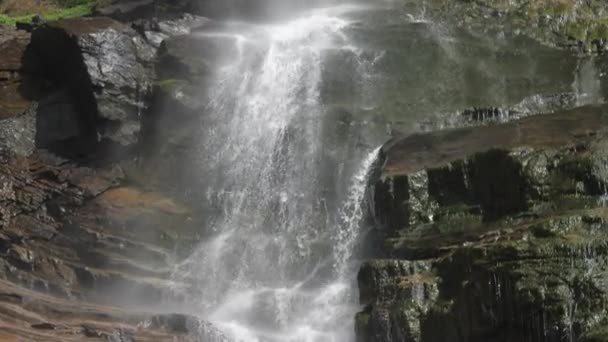 Schuimende water valt van bruine rotsachtige klif op groene boom — Stockvideo