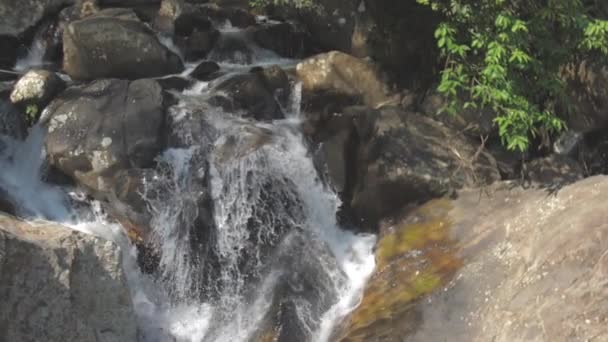 Picturesque waterfall from high rocky cliff with green trees — Stock Video