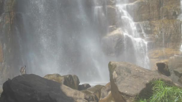 Weißes schäumendes Süßwasser fällt auf nasse braune Felsen — Stockvideo