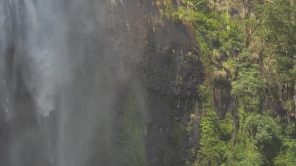 Vízesés sziklás szikla zöld fák és fű lassú — Stock videók