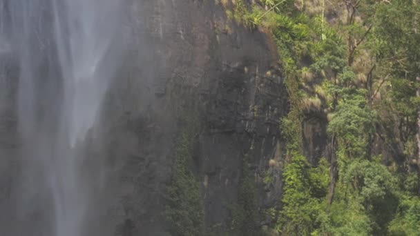 Waterval bij rotsachtige klif met groene bomen en gras langzaam — Stockvideo