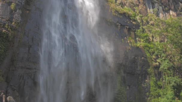 Прісна вода падає з високої коричневої скелястої скелі на сонячному світлі — стокове відео