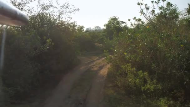 Passeios de jipe modernos ao longo da estrada terrestre com sombras no parque — Vídeo de Stock