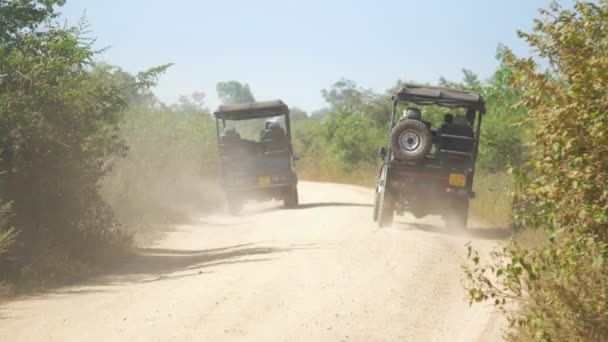 Jeeps drive along brown ground road leaving dust clouds — стокове відео