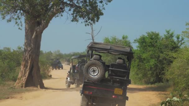 Véhicules roulent le long de la route marron au sol dans l'ombre des arbres — Video