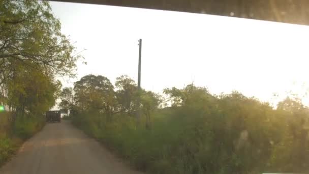 Estrada terra marrom cercada por grama verde e árvores — Vídeo de Stock