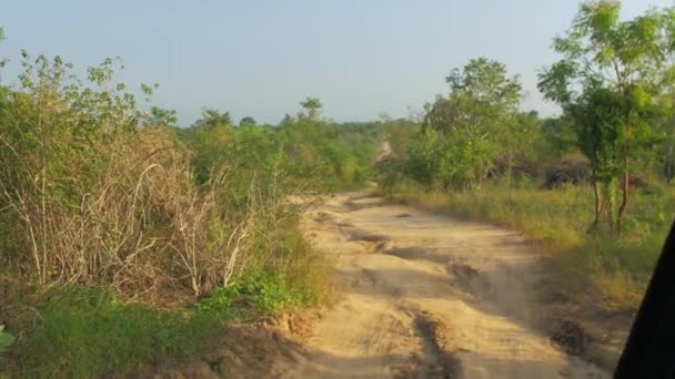 Unidades de automóvel ao longo da estrada terrestre contra árvores verdes — Vídeo de Stock