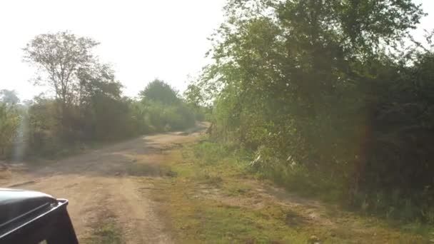 Moderne jeep rijdt langs de grond weg met schaduwen in het park — Stockvideo