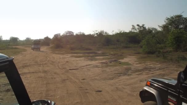 Modern jeeps with tourists drive along wide ground road — Stock Video