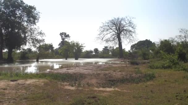 Pintorescos árboles verdes y marrones en el tranquilo lago azul — Vídeo de stock