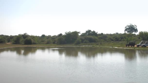 Moderne Jeeps am blauen See spiegeln grüne Bäume und den Himmel wider — Stockvideo