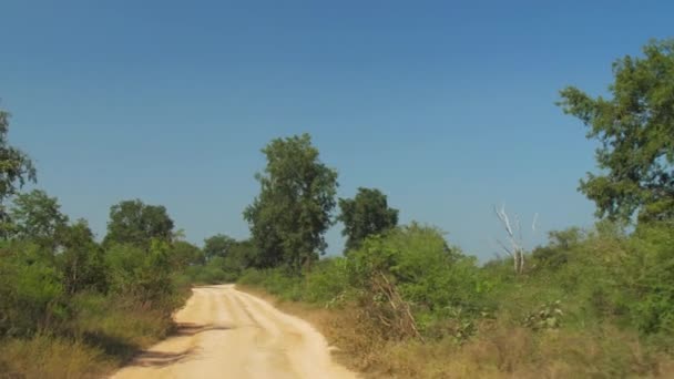 Vehículos modernos conduce a lo largo de la carretera terrestre con sombras — Vídeo de stock