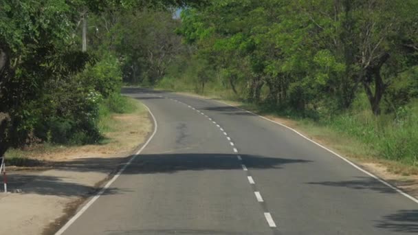 Strada asfaltata con veicoli che guidano in alte ombre di alberi — Video Stock