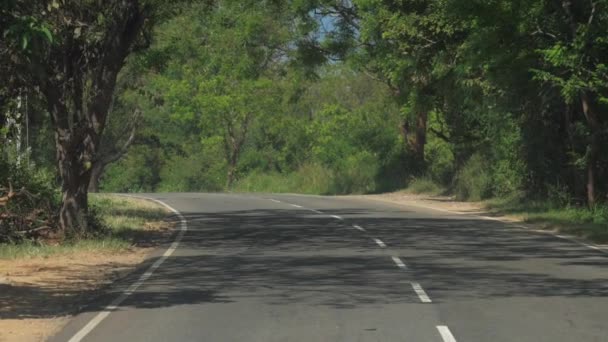 Асфальтовая дорога с транспортными средствами, движущимися в тени деревьев — стоковое видео