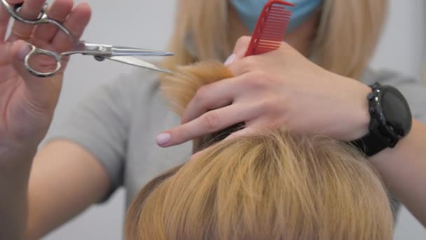 Mãos estilistas segurar tesoura estéril e cortar cabelo curto claro — Vídeo de Stock