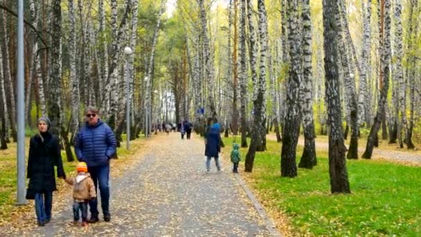 Riposo in famiglia nel parco passando davanti a betulle gialle e persone — Video Stock