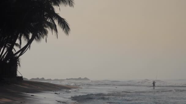 rivage tropical en agitant l'océan près des paumes sombres silhouette 