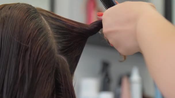 Meisterhände halten Kamm und verdrehen dunkle Haarsträhne auf dem Kopf — Stockvideo