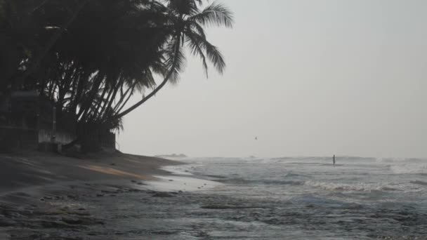 Tropische kust door golvende oceaan in de buurt van donkere palmen silhouet — Stockvideo