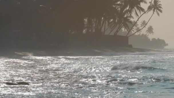 Ocean strand med viftande blå hav mot palmer silhuett — Stockvideo