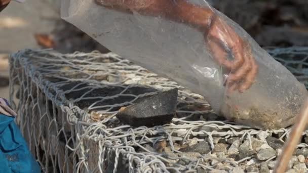 暗い肌の地元の漁師の手のきれいなカニと石 — ストック動画