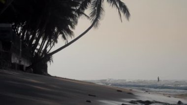 Karanlık palmiyelerin yanında dalgalanan okyanusla tropikal kıyılar