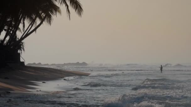 Tropische kust door golvende oceaan in de buurt van donkere palmen silhouet — Stockvideo