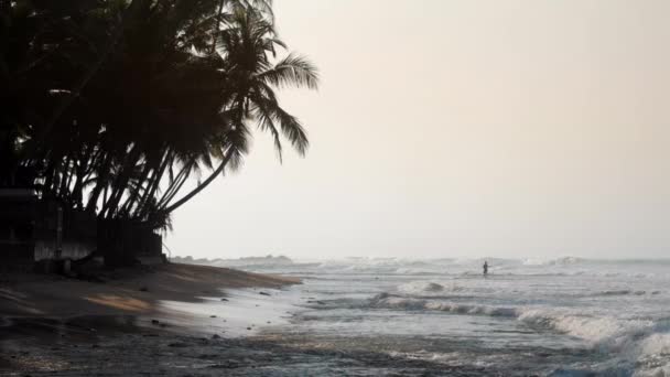 Rivage tropical en agitant l'océan près des paumes sombres silhouette — Video